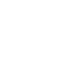 CRT logo