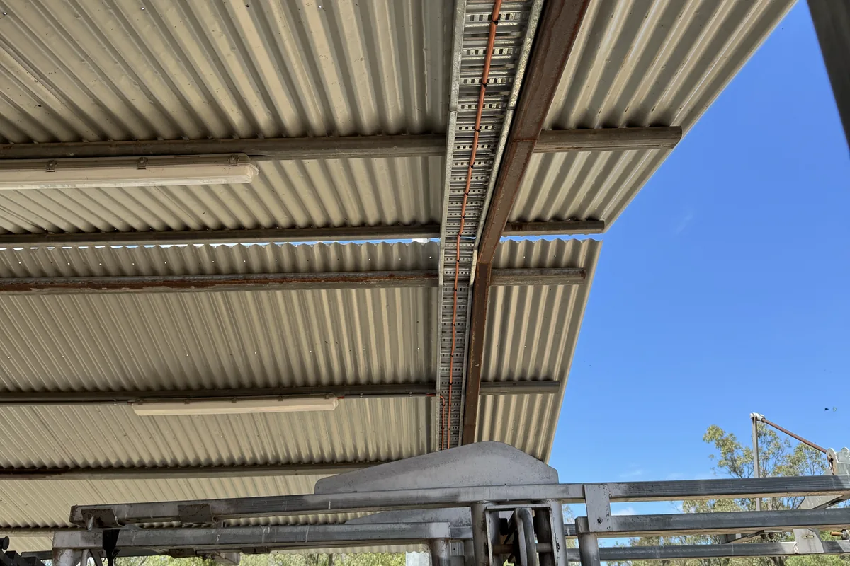 A control box and conduit tray installed above steel cattle yards.