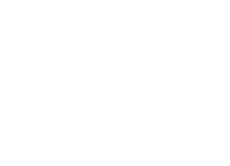 Toowoomba & Surat Basin Enterprise mark